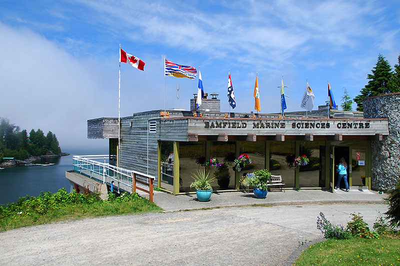 Bamfield Vancouver Island News, Events, Travel,