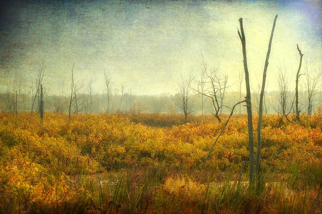 Elevation of Chemin de la Haute Rivière, SainteMartine, QC J0S 1V0