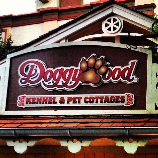 doggywood dollywood dollyparton themepark tennessee