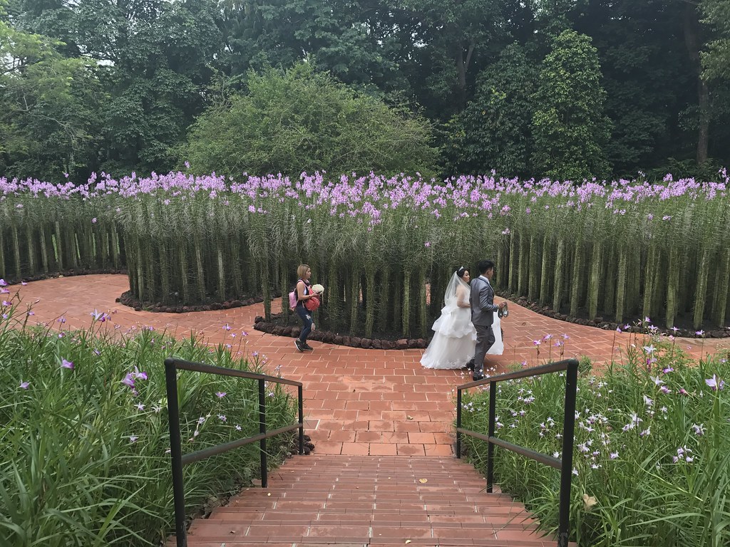 Tyersall Park Singapore Around Guides