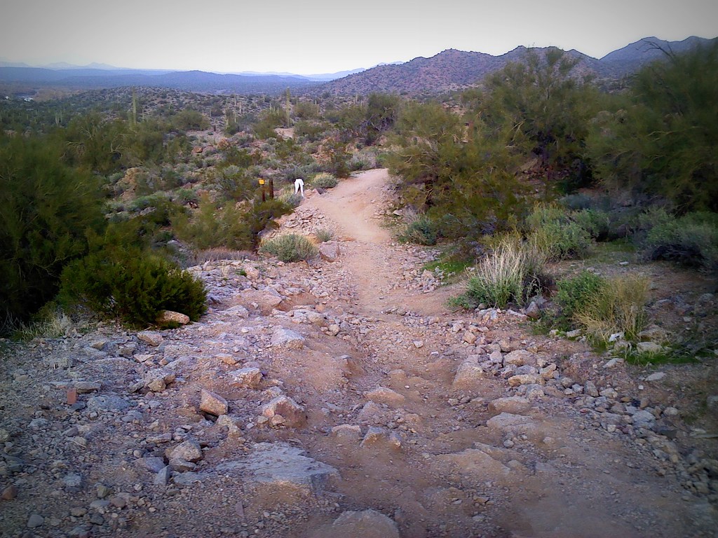 Where'd You Ride Today? (New & Improved) Page 189 Bike Forums