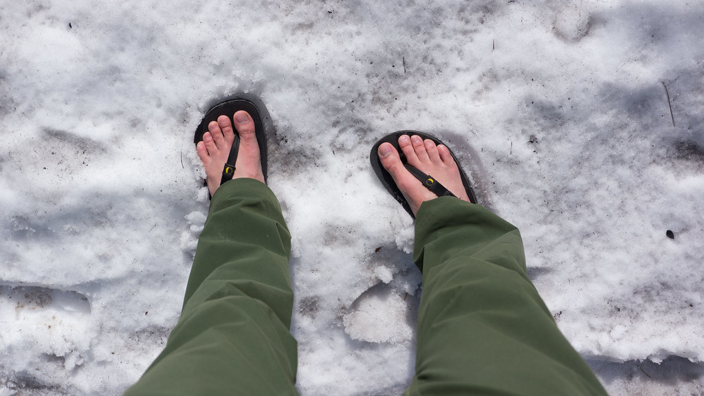 Luna Sandals Sizing | atelier-yuwa.ciao.jp