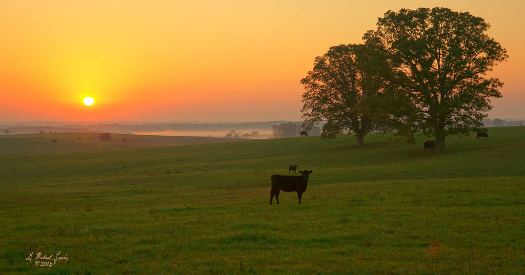 Missouri, USA Sunrise Sunset Times