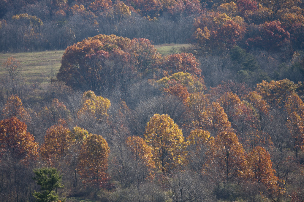 Elevation of Flickerville Rd, Warfordsburg, PA, USA Topographic Map