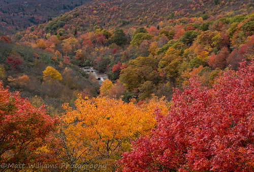 Flickr The Beautiful NC Pool