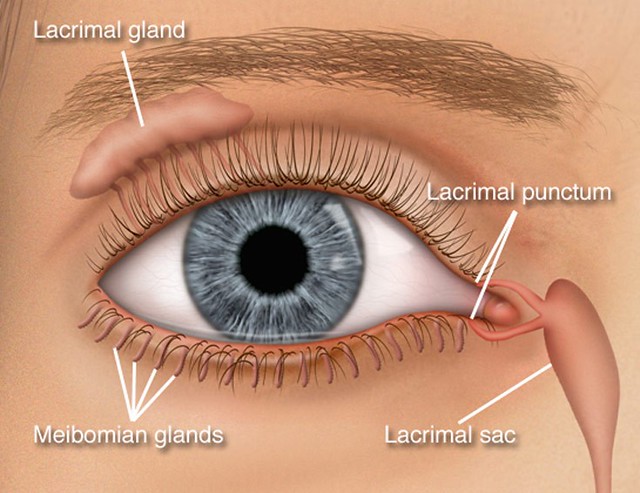 Occular Health 101 Chronic Dry Eye Hoopes Vision