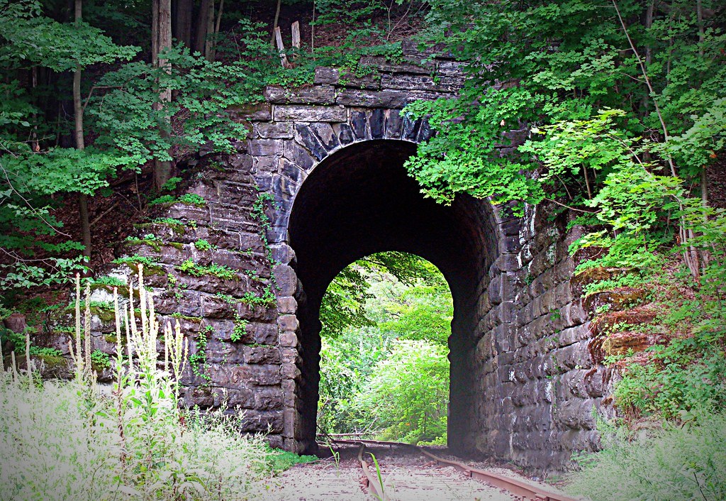 Mosher Hollow Rd, Cattaraugus, NY, USA Sunrise Sunset Times