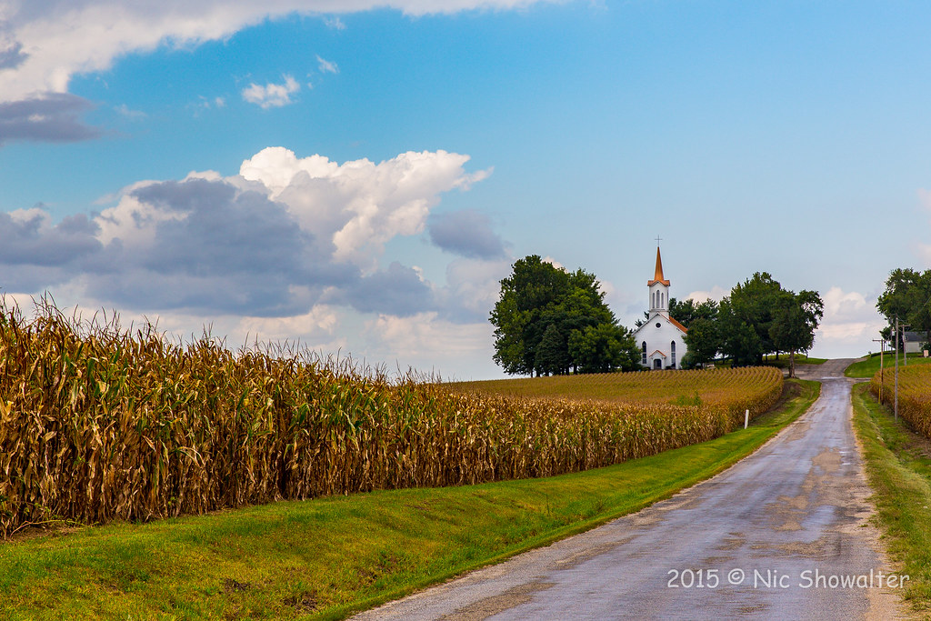 Elevation of N, Tower Hill, IL, USA Topographic Map Altitude Map