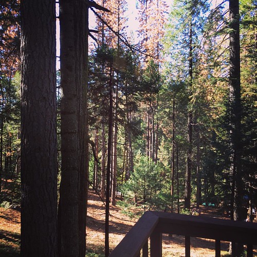 Elevation of Arnold, CA, USA Topographic Map Altitude Map