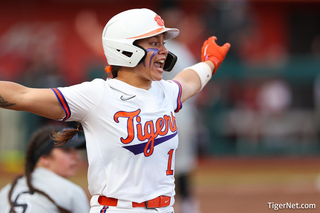 Clemson Softball Photo of South Carolina