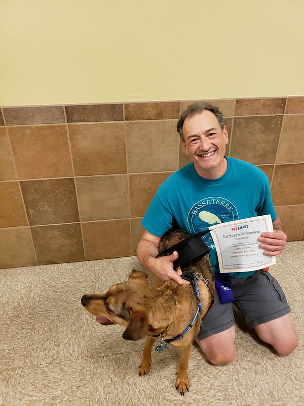 Benefits of Having a Personal Protection Dog Hynotist notebook Dog