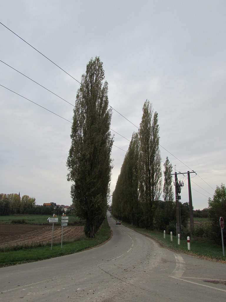 PHOTO COURCELLESAUBOIS Photos Images CourcellesauBois 80560