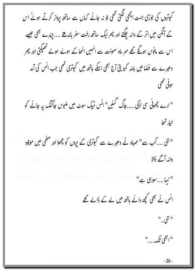 Bin Kahay Sun O Yara Complete Urdu Novel By Farhat Nishat Mustafa