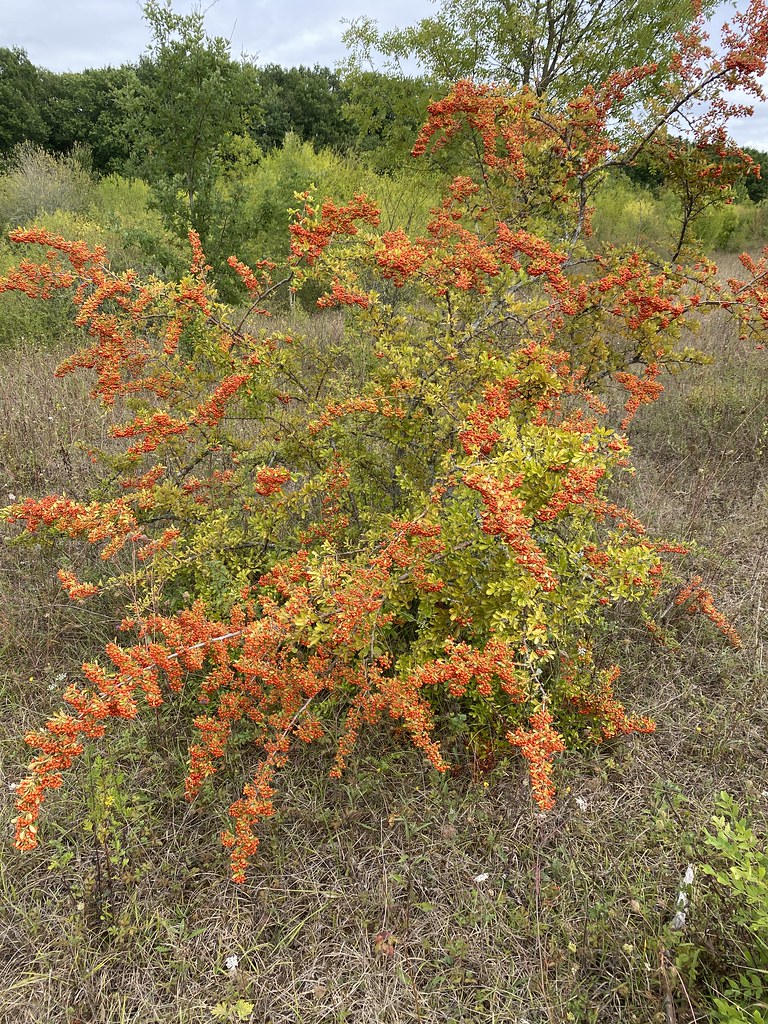 BEAUVILLE Map of Beauville 47470 France