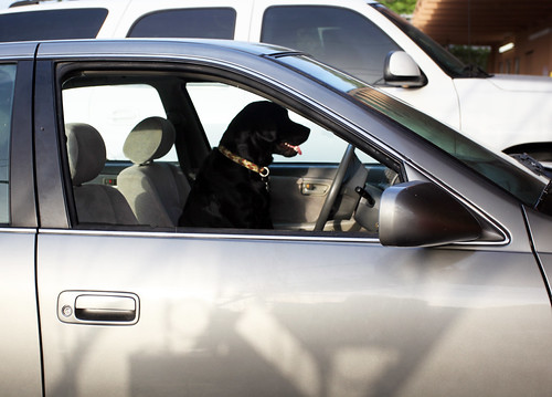 Tackling the Conch Republic in 15,000 calories or less Day 2