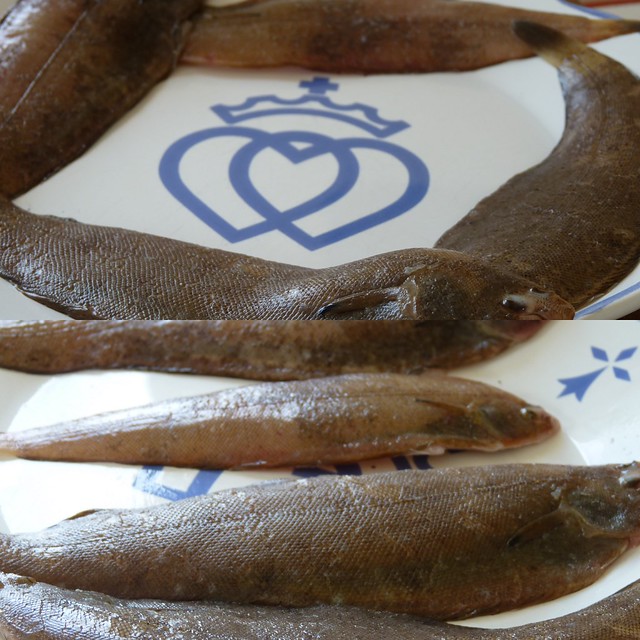 Céteaux en friture Une Cuillerée Pour Papa