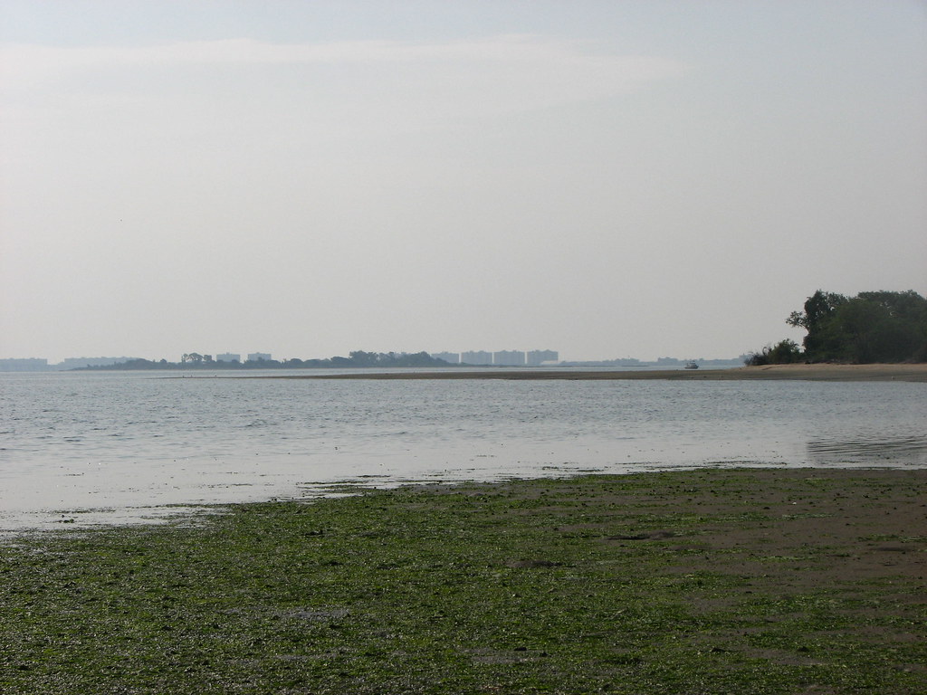 Bergen Beach & Mill Basin neighborhoods, zip code, venue) New York City New