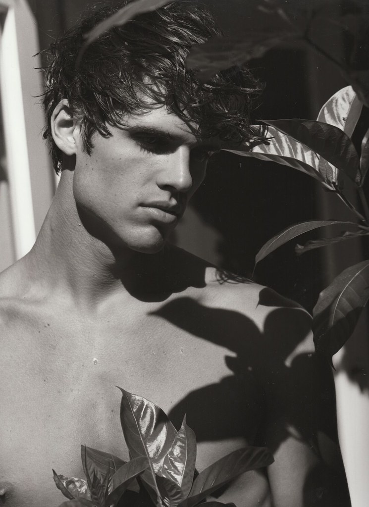 Bruce Weber on line