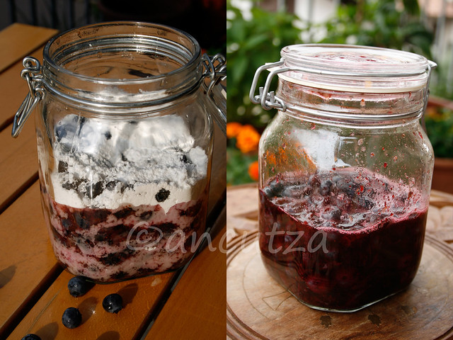 Ricetta liquore ai mirtilli da matrioskadventures su Akkiapparicette
