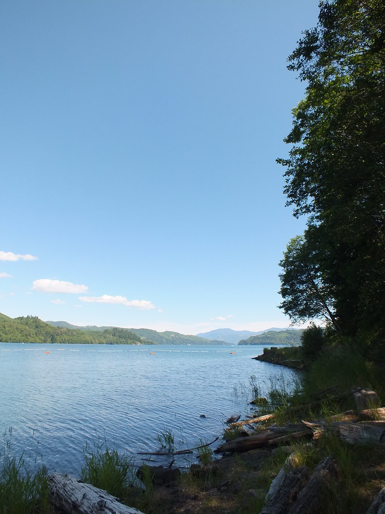 Riffe Lake Map Washington Mapcarta