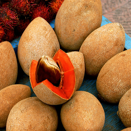 Mamey An Antioxidant Rich Fruit with Tropical Roots