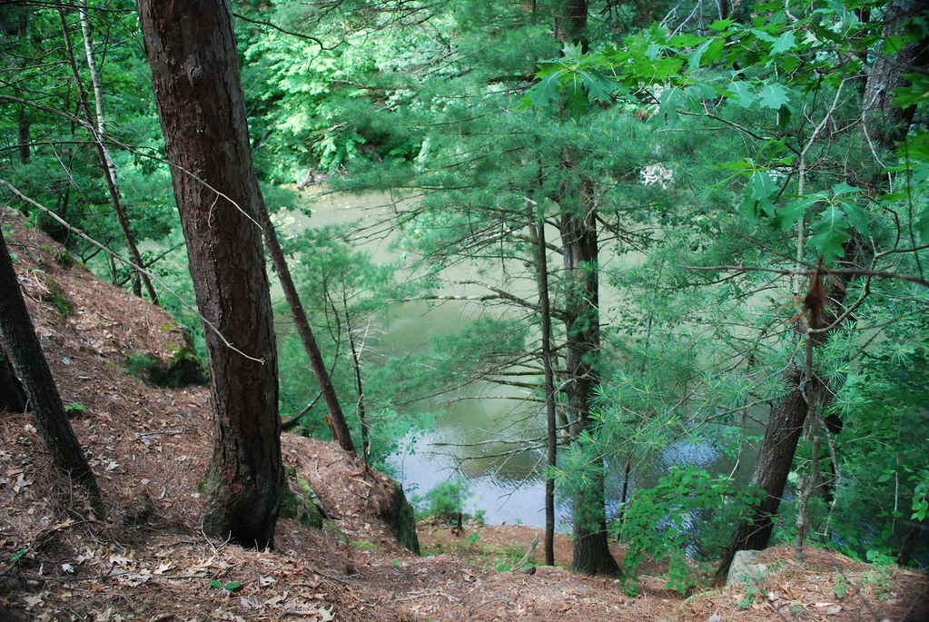 Cliffside Forest Fern Dell Wisconsin State Natural A… Flickr
