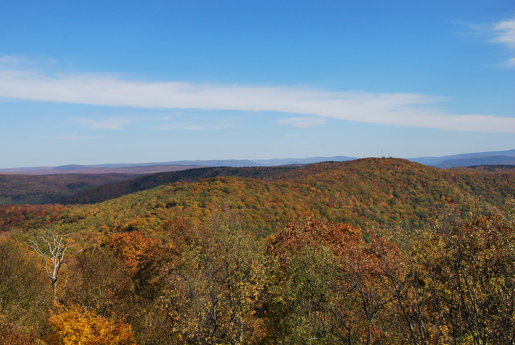 Elevation of Elkins, WV, USA Topographic Map Altitude Map
