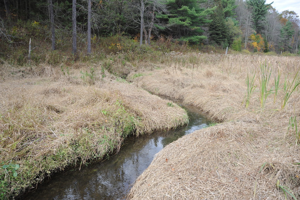 Elevation of Van Etten, NY, USA Topographic Map Altitude Map
