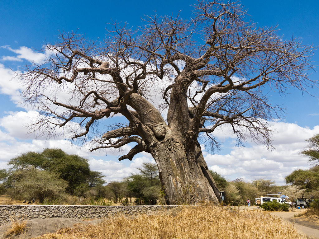 Discover The Magic Of East Africa. Travel (10) Nigeria