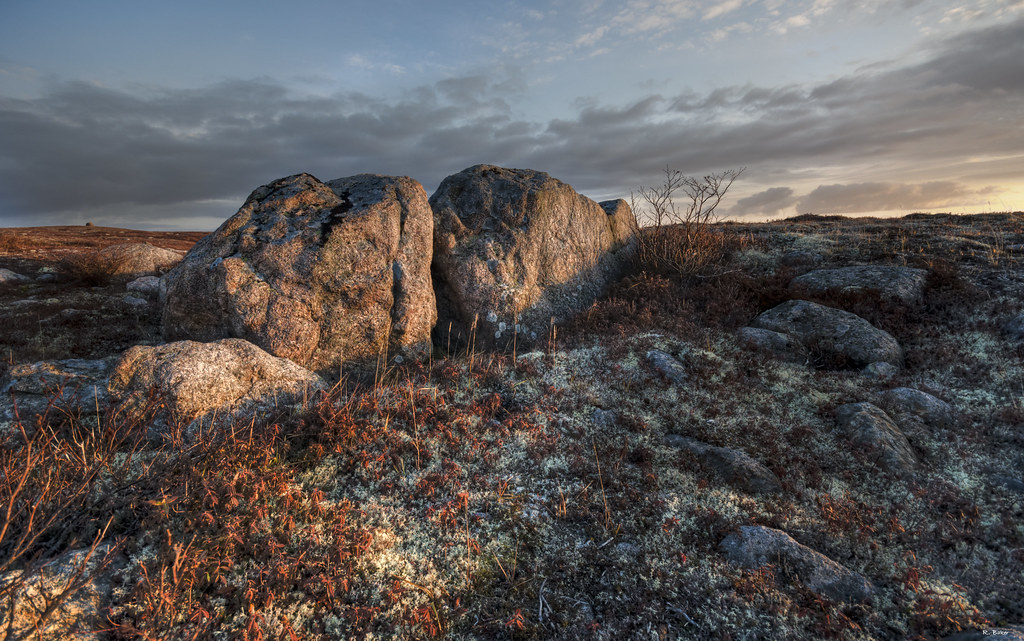 Elevation of Chapel's Cove Road, Harbour MainChapel CoveLakeview, NL