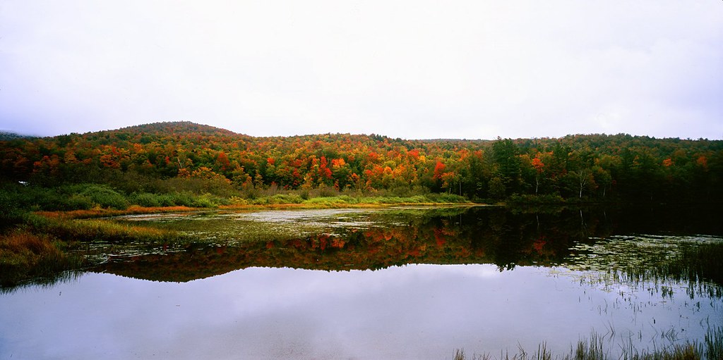 Elevation of Eden, VT, USA Topographic Map Altitude Map