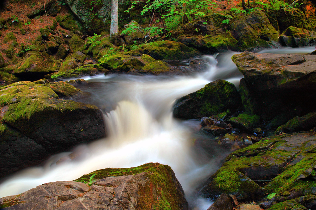 Elevation of Pembine, WI, USA Topographic Map Altitude Map