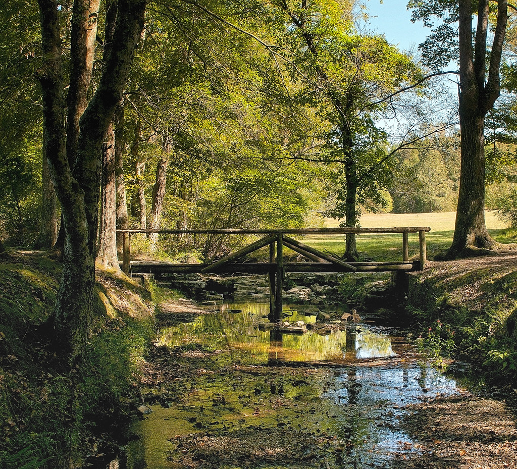 Elevation of Harris Rd, Adamsville, TN, USA Topographic Map