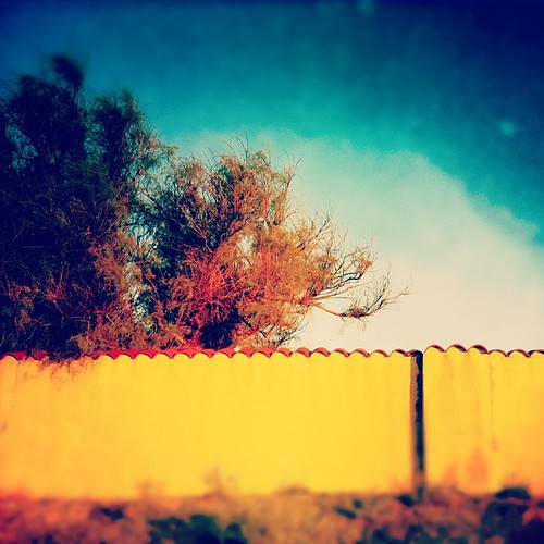 Elevation of E Main St, Fabens, TX, USA Topographic Map Altitude Map