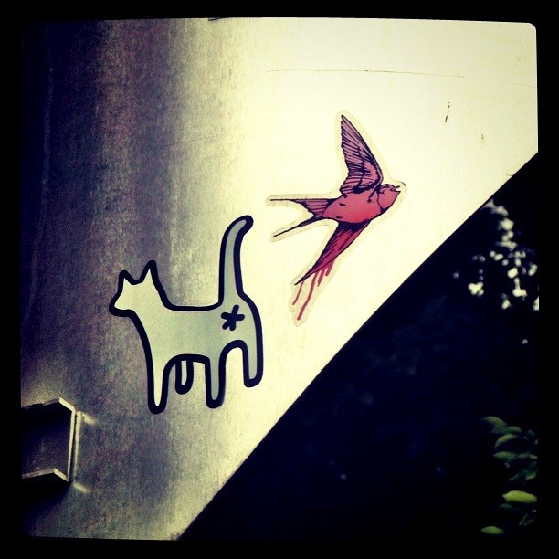 Cat butt and bleeding swallow Flickr Photo Sharing!