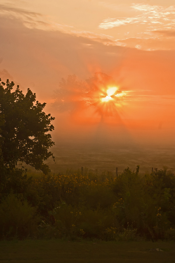 Sadieville, KY, USA Sunrise Sunset Times