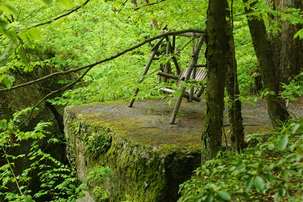 Elevation of Olean, NY, USA Topographic Map Altitude Map