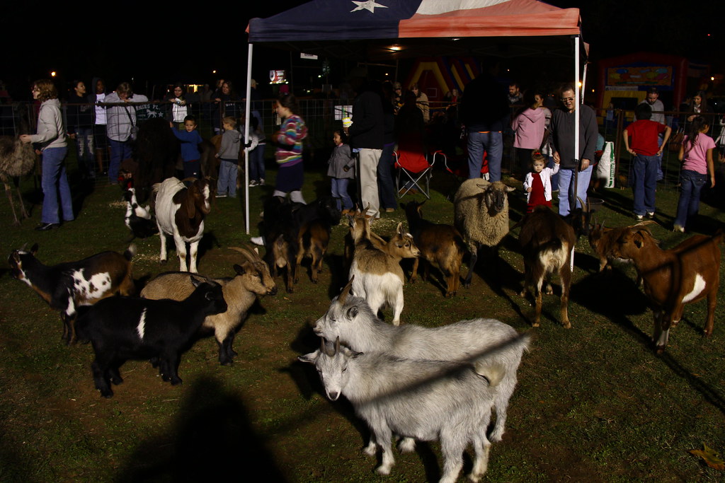 Nacogdoches Map Central Piney Woods, Texas Mapcarta