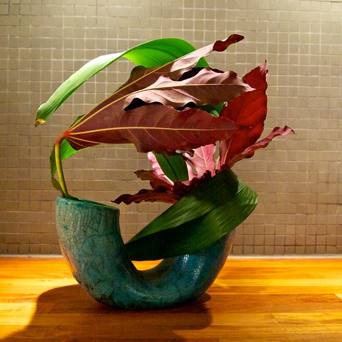 The Nordic Lotus Ikebana Blog Large Leaves