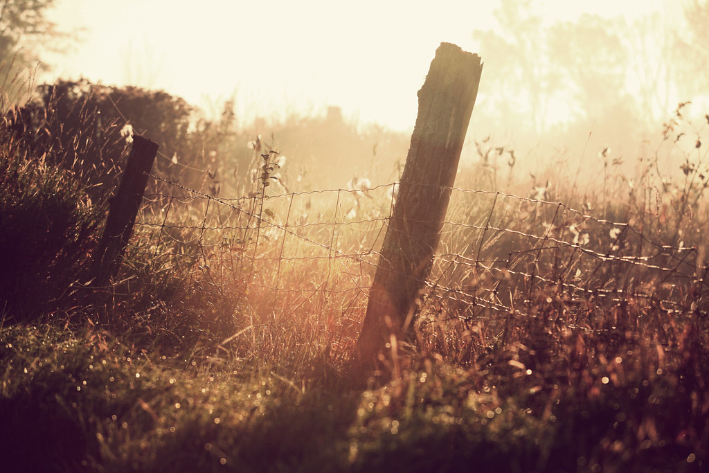 Lanark Avenue, Lanark Ave, Ottawa, ON, Canada Sunrise Sunset Times