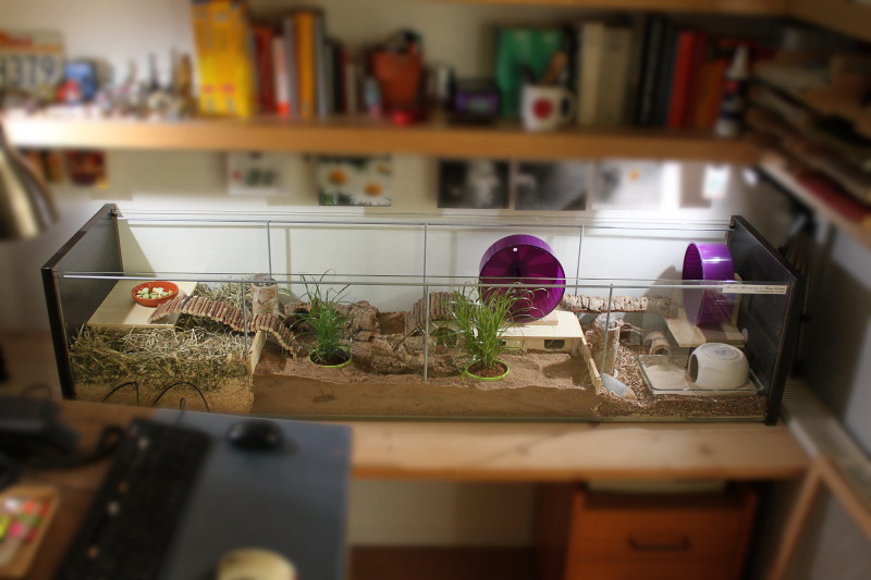 Ikea Vitrine Hamsterkäfig Test 2