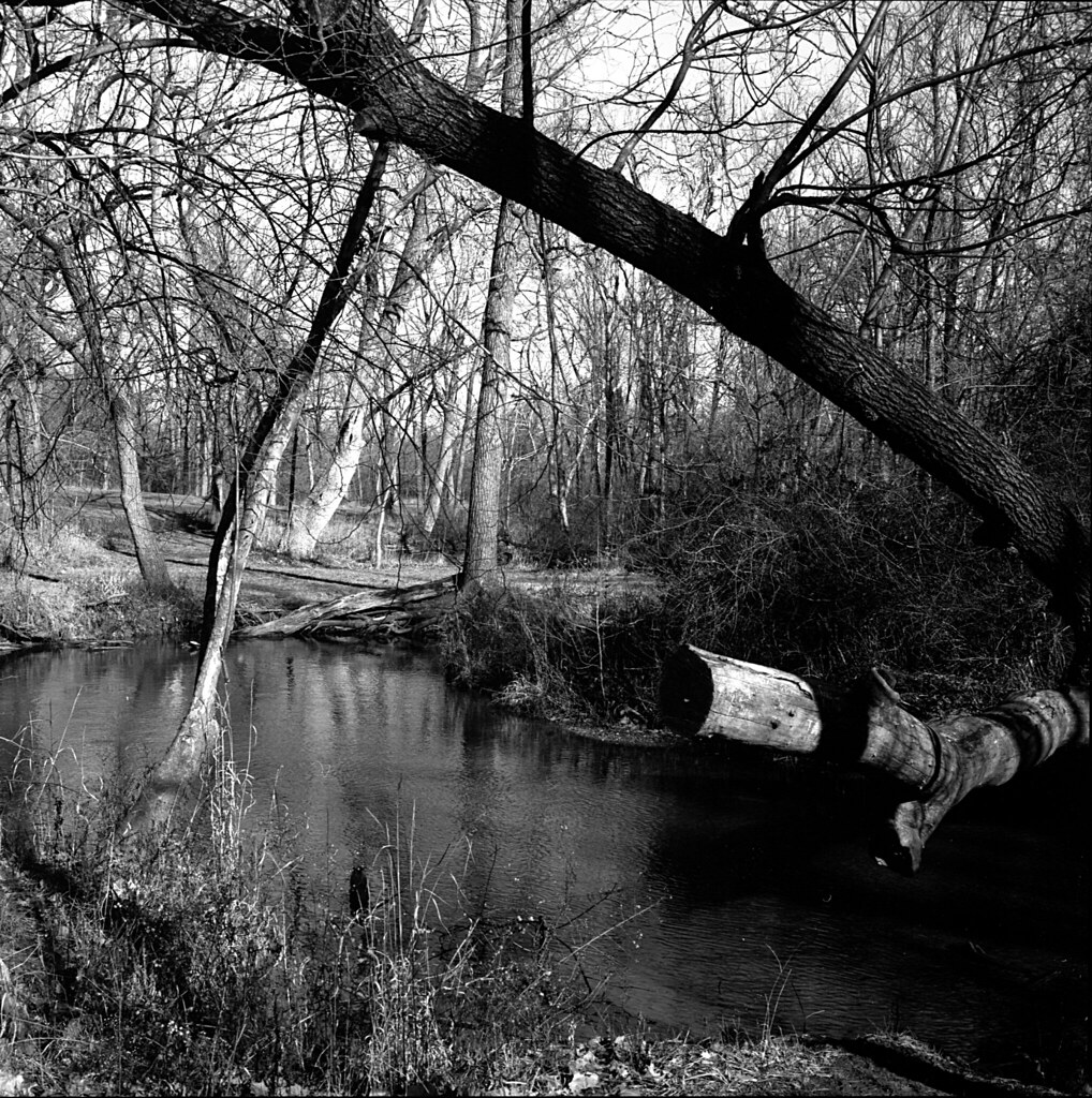 McDaniel Lake Dam Missouri Around Guides