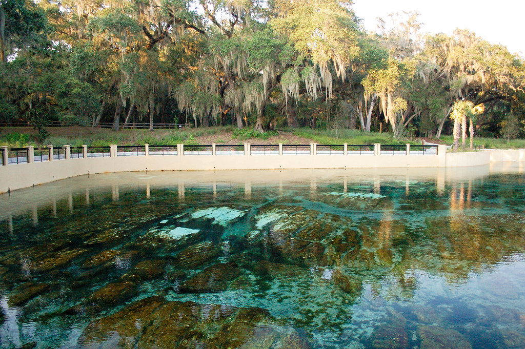 Drayton Island Map Florida Mapcarta