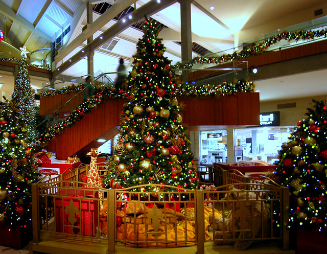 Friday Single Shot 30 Tree at Bellevue Square Bellevue