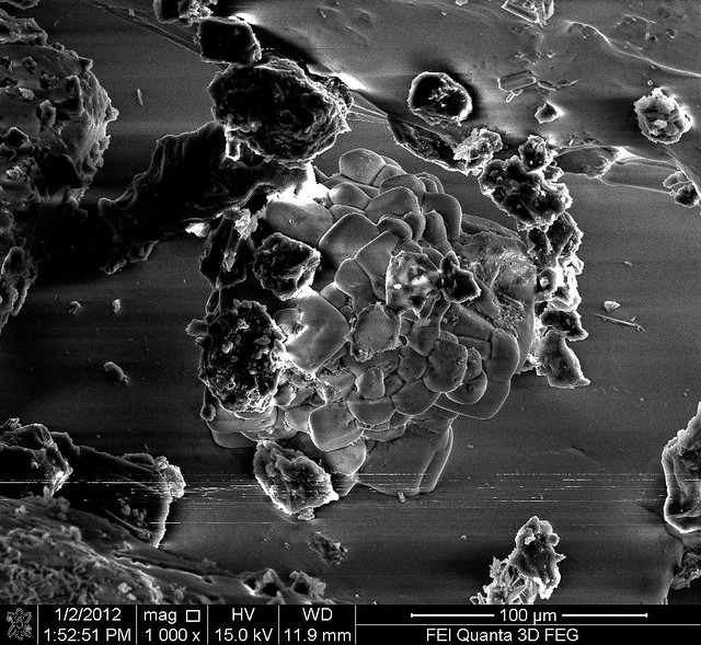 Sea salt crystal under scanning electron microscope 1000x magnification