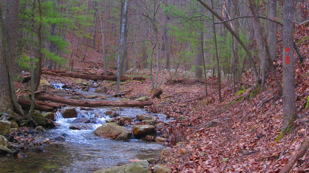 Elevation of Warden Lake A B Dr, Wardensville, WV, USA Topographic