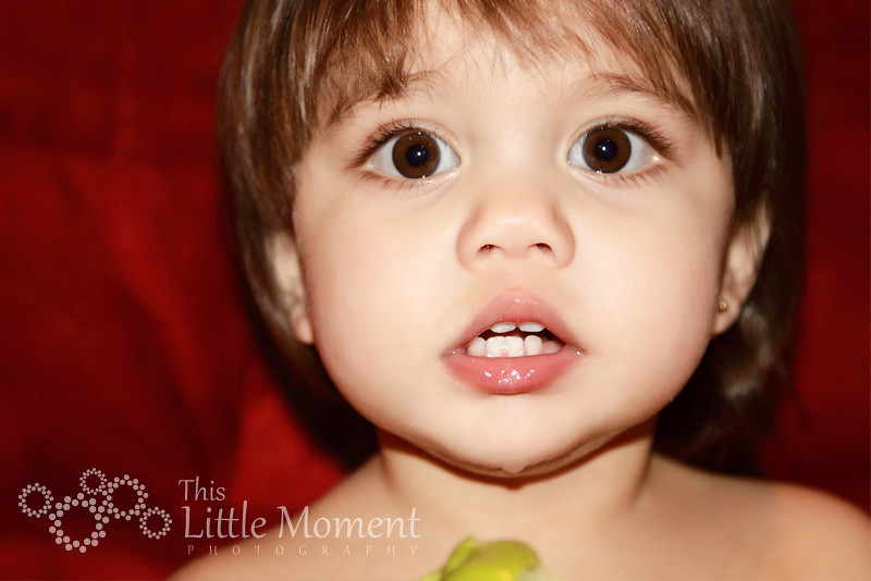 This Little Moment Photography Los Angeles Baby Photographer Baby W