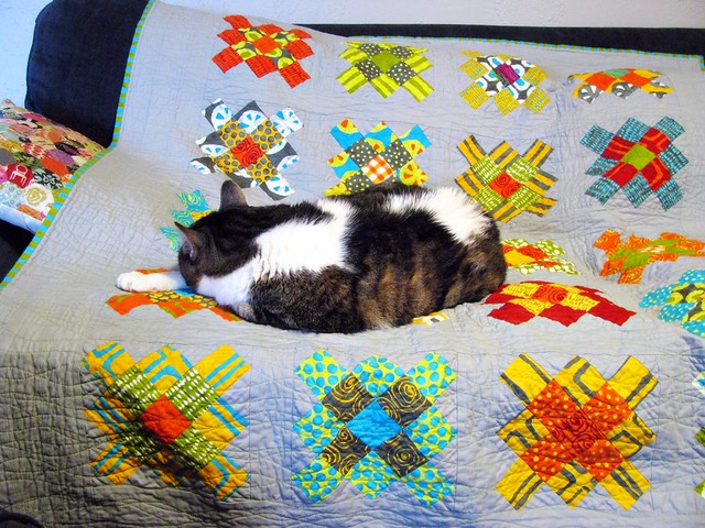 Cat on a Quilt, Already