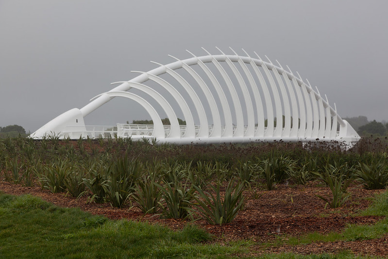 Car Hire New Plymouth Airport Cheap Deals Airport Rentals