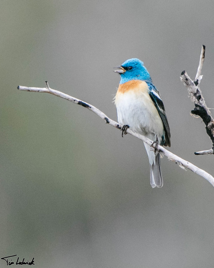 Caliente Bodfish Rd, Havilah, CA, USA Sonnenaufgang Sonnenuntergang Zeiten